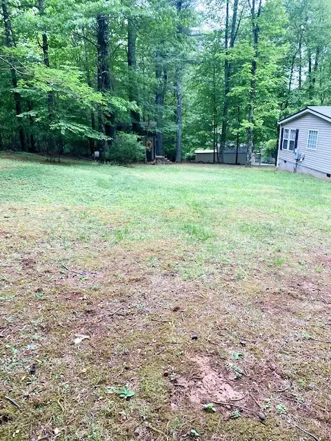 Exterior - 1027 White Pine Dr, Ennice, NC 28623 photo 13 of 15