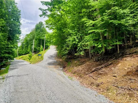 136 Locust Ridge Rd, Beech Mountain, NC 28604