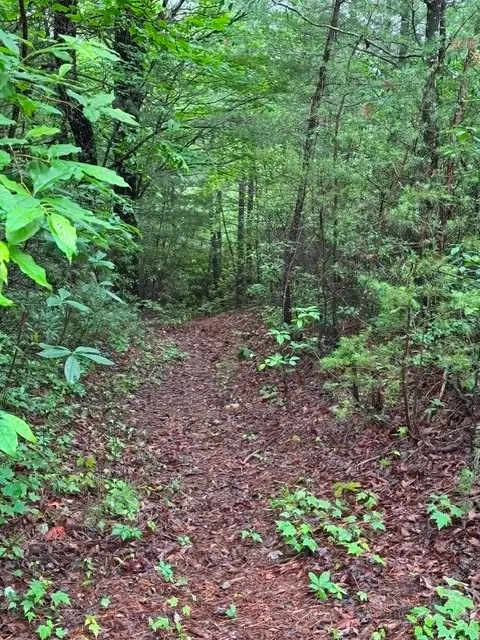 35 36 37 Big Sky Rd, Ferguson, NC 28624 photo 7