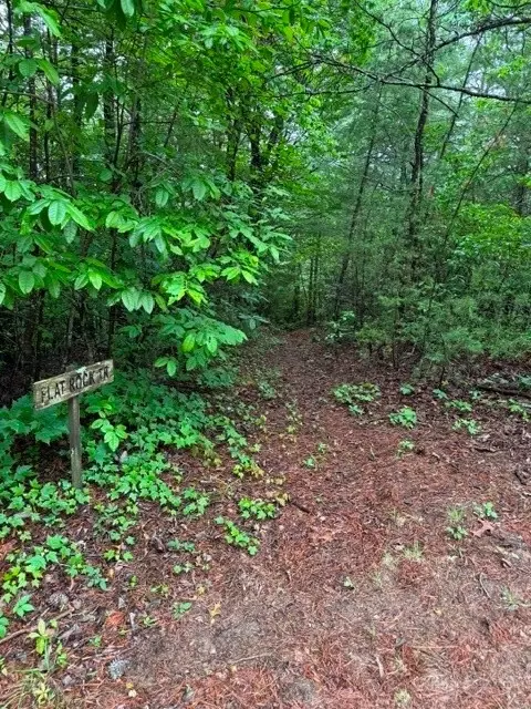 35 36 37 Big Sky Rd, Ferguson, NC 28624 photo 5