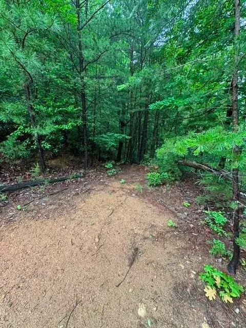 35 36 37 Big Sky Rd, Ferguson, NC 28624 photo 10
