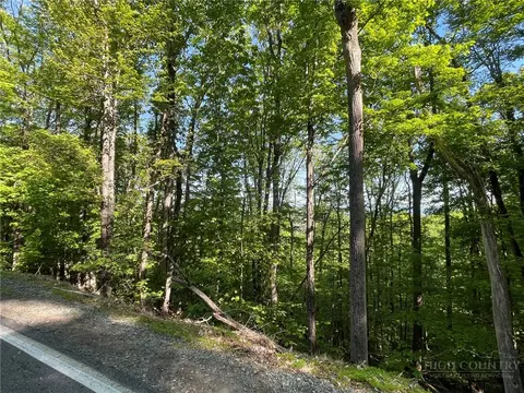 926 Pine Ridge Rd, Beech Mountain, NC 28604 photo 8