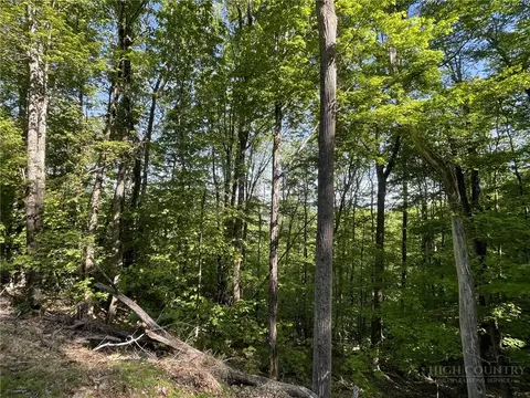 926 Pine Ridge Rd, Beech Mountain, NC 28604 photo 6
