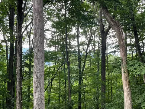 926 Pine Ridge Rd, Beech Mountain, NC 28604 photo 3