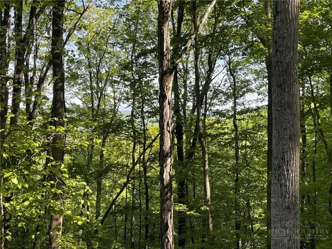 926 Pine Ridge Rd, Beech Mountain, NC 28604 photo 7