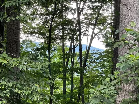 926 Pine Ridge Rd, Beech Mountain, NC 28604 photo 2