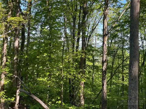 926 Pine Ridge Rd, Beech Mountain, NC 28604 photo 4