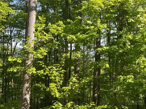 926 Pine Ridge Rd, Beech Mountain, NC 28604 photo 5