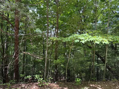 lot132 A Warren Way Rd, Purlear, NC 28665