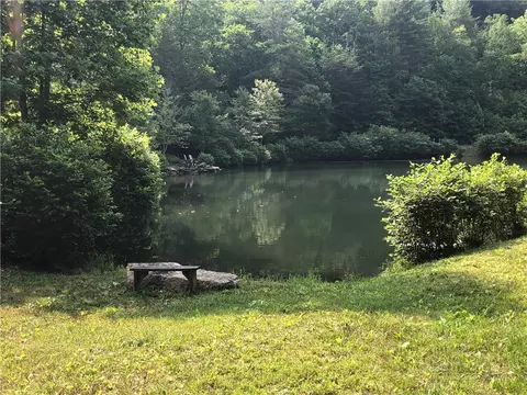 lot132 A Warren Way Rd, Purlear, NC 28665 photo 29