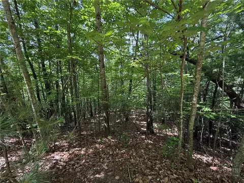 lot132 A Warren Way Rd, Purlear, NC 28665 photo 2