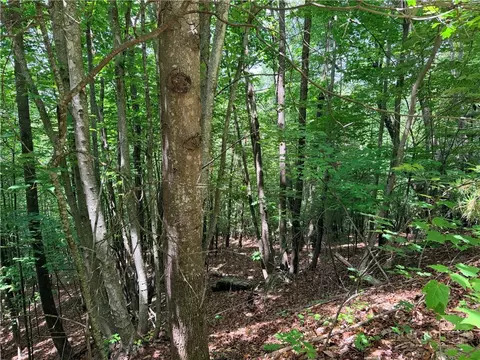 lot132 A Warren Way Rd, Purlear, NC 28665 photo 6