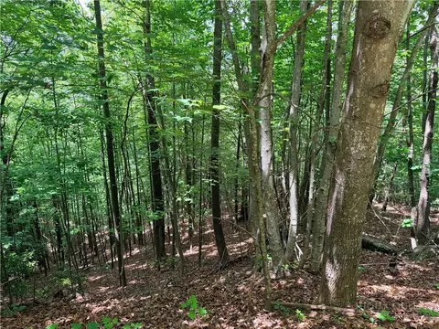 lot132 A Warren Way Rd, Purlear, NC 28665 photo 5