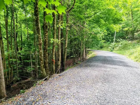139 Raccoon Rd, Beech Mountain, NC 28604