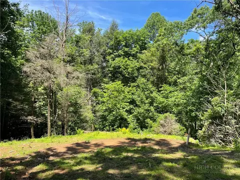 156 Dragonfly Ln, Boone, NC 28607