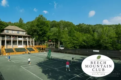 Other - 101 Golf View Dr #A-1, Beech Mountain, NC 28604 photo 6 of 6