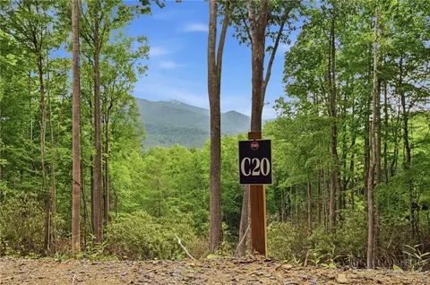 C20 Autumnwood Trace, Elk Park, NC 28622