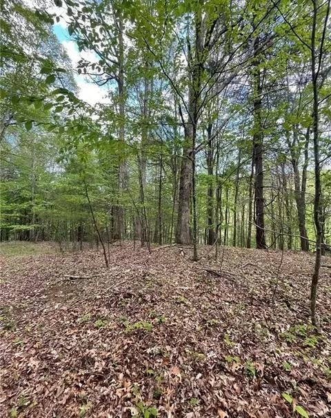 tbd Edwin Blevins Rd, Jefferson, NC 28640