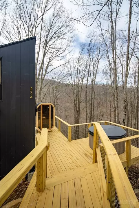 Exterior - 234 Wild Daisy Ln, Beech Mountain, NC 28604 photo 4 of 7