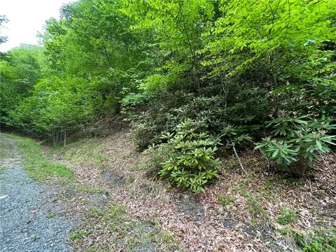 100 Chicory Ln, Beech Mountain, NC 28604 photo 3