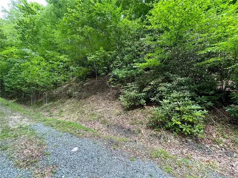 100 Chicory Ln, Beech Mountain, NC 28604 photo 2