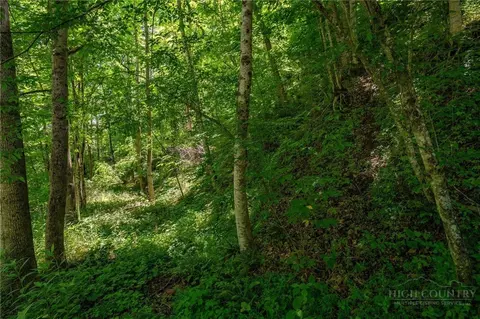 tbd Smith St, Vilas, NC 28692 photo 34