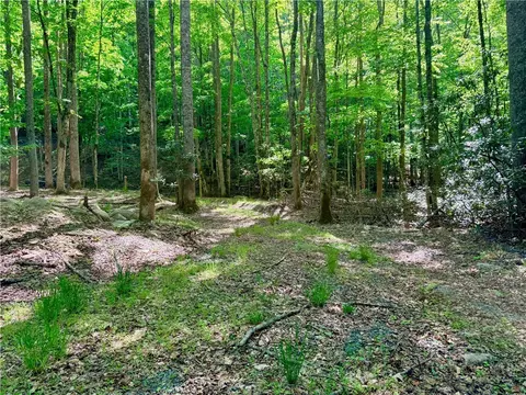 lot5 A Buckeye Ridge Rd, Beech Mountain, NC 28604