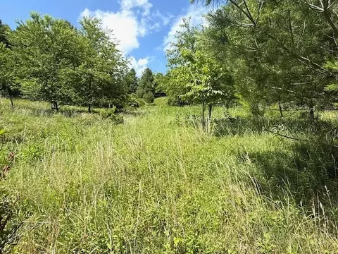 tbd Park View Dr, Jefferson, NC 28640 photo 2