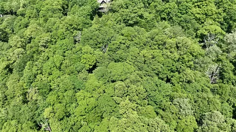 tbd Newbiggin, Boone, NC 28607 photo 32