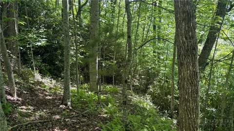 tbd Newbiggin, Boone, NC 28607 photo 2