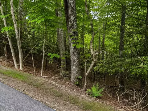 tbd Walnut Rd, Boone, NC 28607 photo 3