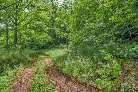 tbd Roaring Fork Rd, Creston, NC 28615 photo 11
