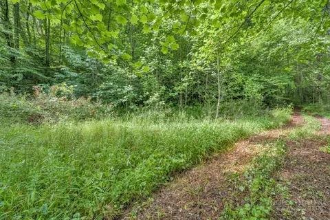 tbd Roaring Fork Rd, Creston, NC 28615 photo 9