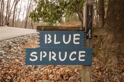 Other - 174 Horse Shoe Ridge Rd, Deep Gap, NC 28618 photo 2 of 4