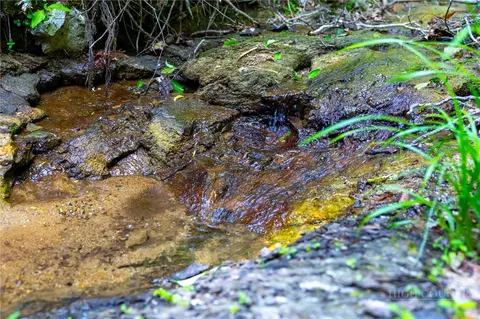G14 Great Camp Trail, Banner Elk, NC 28604
