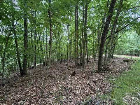 139 Red Fox Ln, Beech Mountain, NC 28604 photo 3