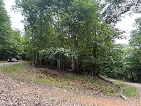139 Red Fox Ln, Beech Mountain, NC 28604