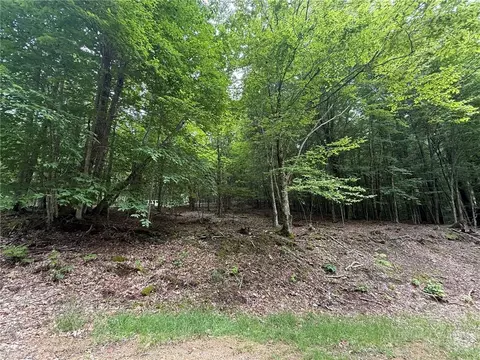 139 Red Fox Ln, Beech Mountain, NC 28604 photo 5