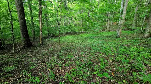 lot11 Elk Creek Mountain Prkwy, Todd, NC 28684