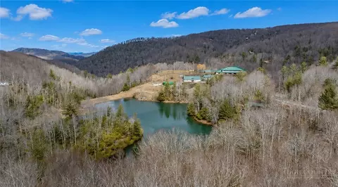 107 Chicory Ln, Beech Mountain, NC 28604