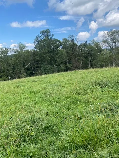 tbd Cornerstone Rd, Independence, VA 24348 photo 7