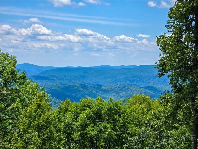 lot121 Wildcat Wilderness Pkwy, Deep Gap, NC 28618
