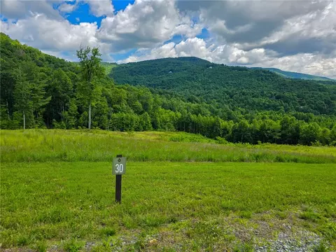30 Wilderness Watch Trce, Deep Gap, NC 28618 photo 6