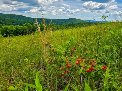 30 Wilderness Watch Trce, Deep Gap, NC 28618 photo 15