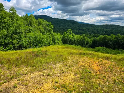 30 Wilderness Watch Trce, Deep Gap, NC 28618 photo 10