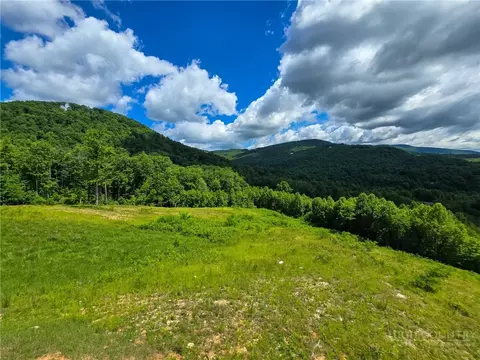 30 Wilderness Watch Trce, Deep Gap, NC 28618 photo 3