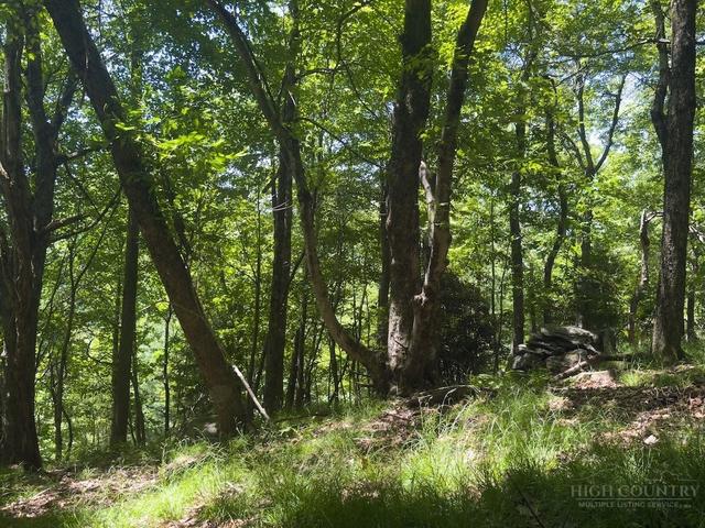 tbd Grandview Dr Ext, Boone, NC 28607