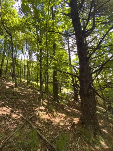 tbd Grandview Dr Ext, Boone, NC 28607 photo 6