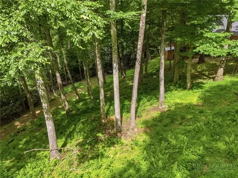 Exterior - 176 Ravens Vw, Boone, NC 28607 photo 10 of 14