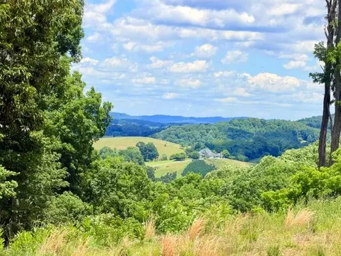 tbd Cox Rd, Jefferson, NC 28640 photo 3